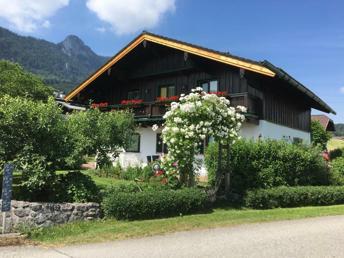 Ferienwohnung Meindl Elfi An Der Drachenwand 44 Mondsee Ngoại thất bức ảnh